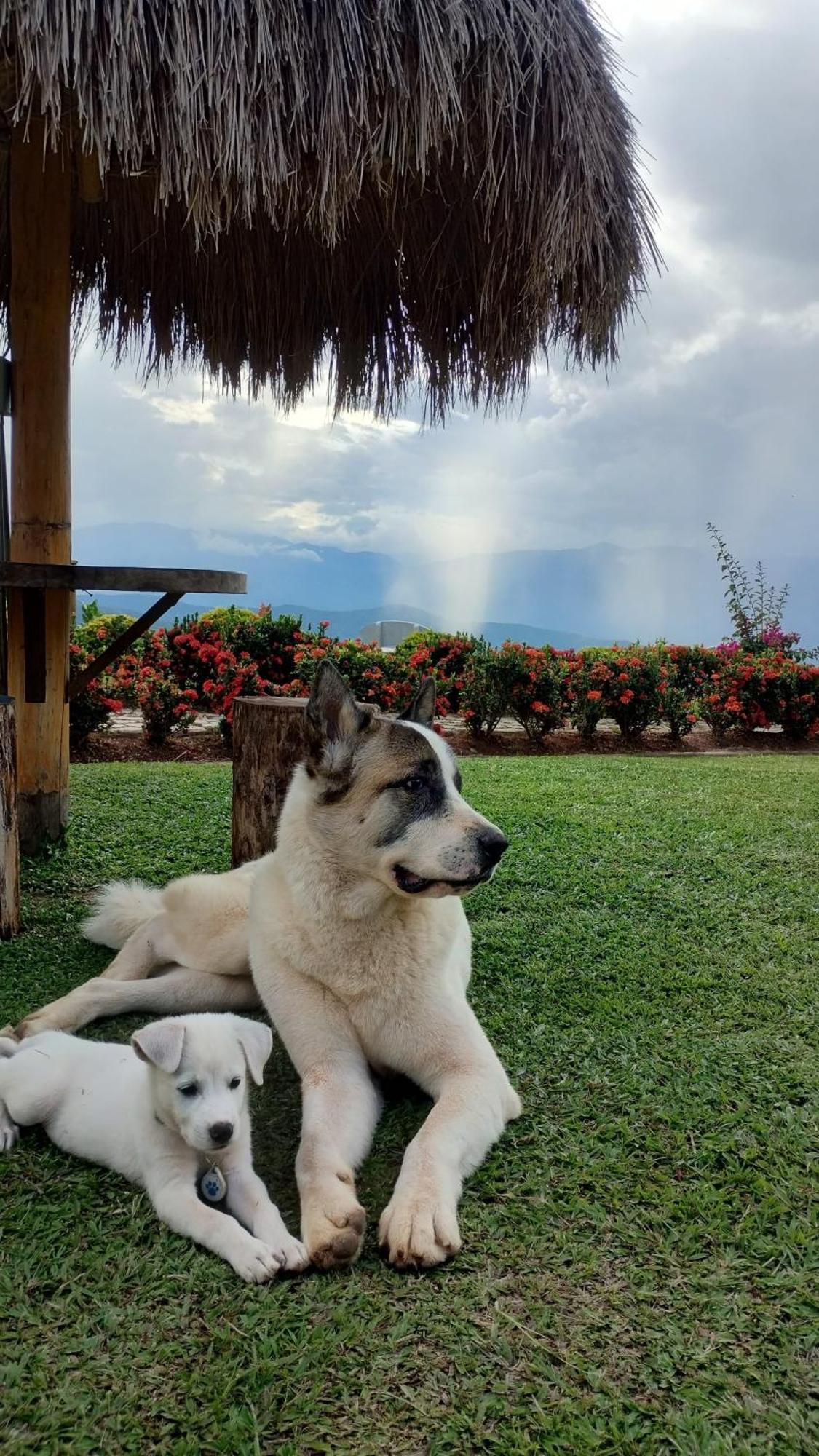 Nalua Glamping Y Hotel San Jerónimo Extérieur photo